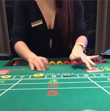 8800 bet login